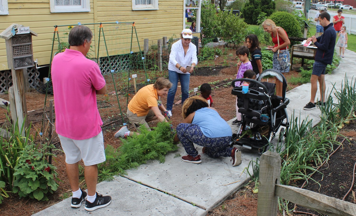 Visitors were encouraged to dig their own carrots out of the vegetable garden, which replicates a 1920 kitchen garden and helps people better understand the history of edible landscape and sustainable garden practices.